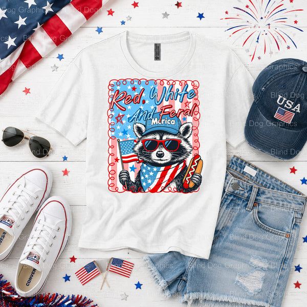 AMERICA – Fourth Of July DTF Transfer (view 1 of 2) – by Blind Dog Graphics – Premade Transfers – Fourth Of July, Patriotic