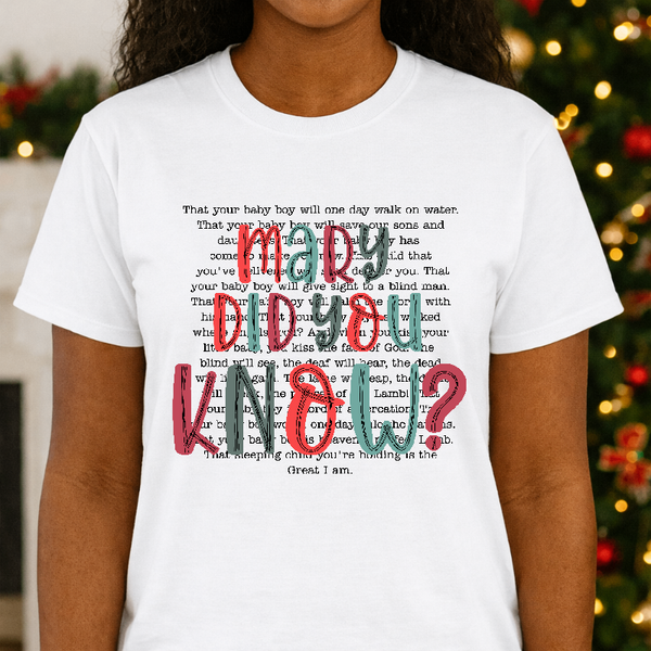 MARY DID YOU KNOW? – Christmas Premade DTF Transfer