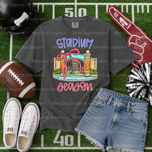 GAME DAY VIBES – Football Premade DTF Transfer (view 2 of 2) – by Blind Dog Graphics – Premade Transfers – Football, Sports