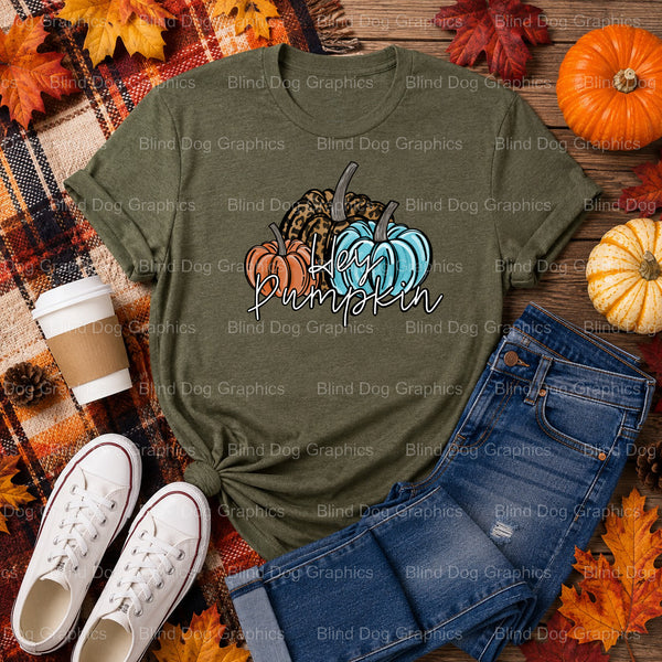 Hey Pumpkin – Fall Premade DTF Transfer (view 2 of 2) – by Blind Dog Graphics – Premade Transfers – Fall, Thanksgiving
