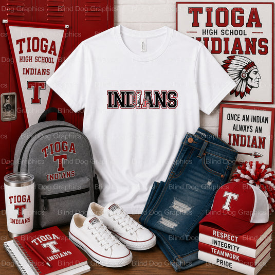 THS INDIANS Feathered Arrow – Tioga High School Premade DTF Transfer (view 1 of 2) – by Blind Dog Graphics – Premade Trans...