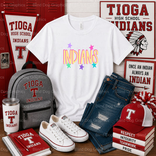 TIOGA HIGH SCHOOL BASEBALL INDIANS Headdress & Bats – Premade DTF Transfer (view 1 of 2) – by Blind Dog Graphics – Premade...