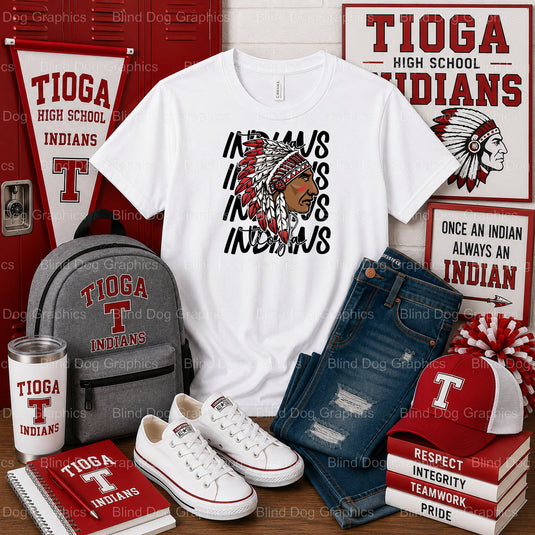 Tioga High School Indians Script Feather – Tioga High School Premade DTF Transfer (view 2 of 2) – by Blind Dog Graphics –...