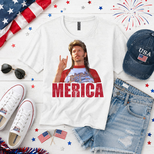 USA EST 1776 – Fourth Of July DTF Transfer (view 1 of 2) – by Blind Dog Graphics – Premade Transfers – Fourth Of July, Pat...