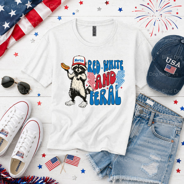 USA – Fourth Of July DTF Transfer (view 1 of 2) – by Blind Dog Graphics – Premade Transfers – Fourth Of July, Patriotic