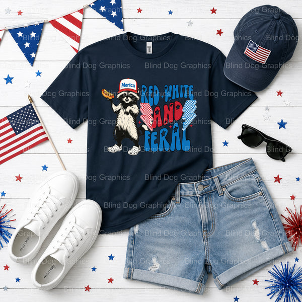USA – Fourth Of July DTF Transfer (view 2 of 2) – by Blind Dog Graphics – Premade Transfers – Fourth Of July, Patriotic